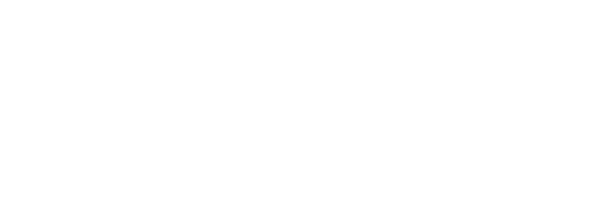 Primer Logo